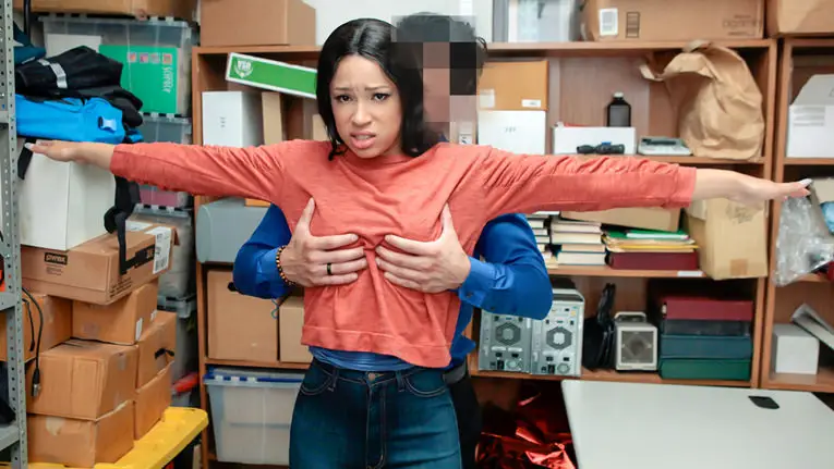 Case No. 8736269 - Shoplyfter